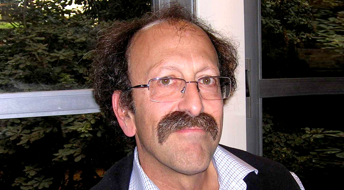 פרופ' דוד שולמן. "יש בעם מספיק כוחות רדומים, ואם הם יתעוררו ויביעו התנגדות אפשר להפוך את המצב על פיו" | צילום: ויקיפדיה