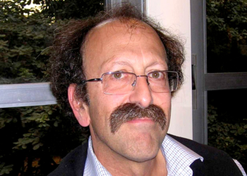 פרופ' דוד שולמן. "יש בעם מספיק כוחות רדומים, ואם הם יתעוררו ויביעו התנגדות אפשר להפוך את המצב על פיו" | צילום: ויקיפדיה