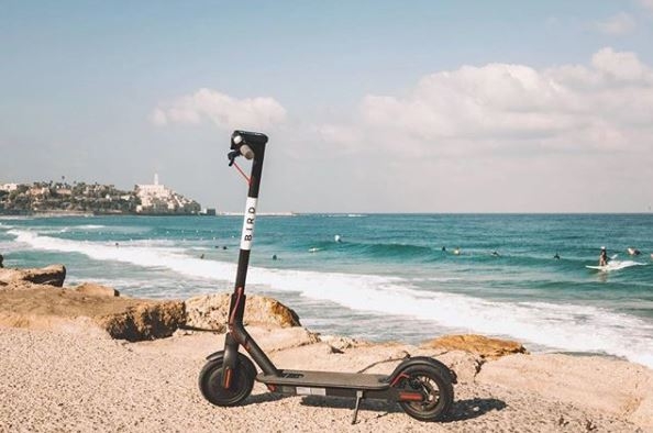 מה אכפת לציפור או לעירייה? קורקינט של חבר בירד | צילום: יח"צ