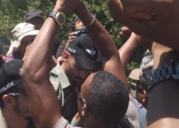 צילום: מאשה אברבוך