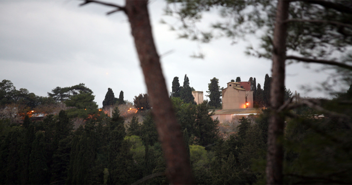 קיבוץ עין השופט. צילום: יוסי זמיר, פלאש90