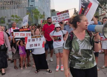 מחאת הורי החינוך המיוחד בתל אביב בקיץ האחרון | צילום: גליה מתוק