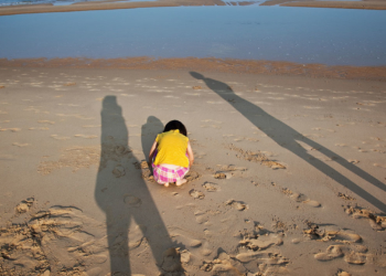 אין שיתוף פעולה בצד השני" | צילום: Radhani