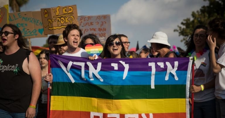 אייל לוריא פרדס