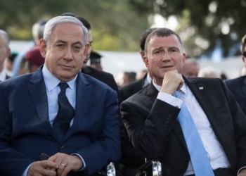 אדלשטיין בשליחות נתניהו? | צילום: הדש פורוש, פלאש 90