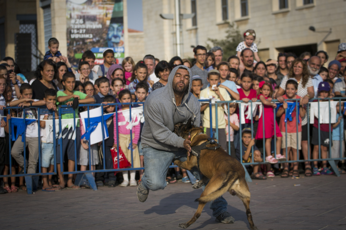 הדגמת חיפוש של כלב משטרתי על אדם | צילום: יונתן סינדל, פלאש 90