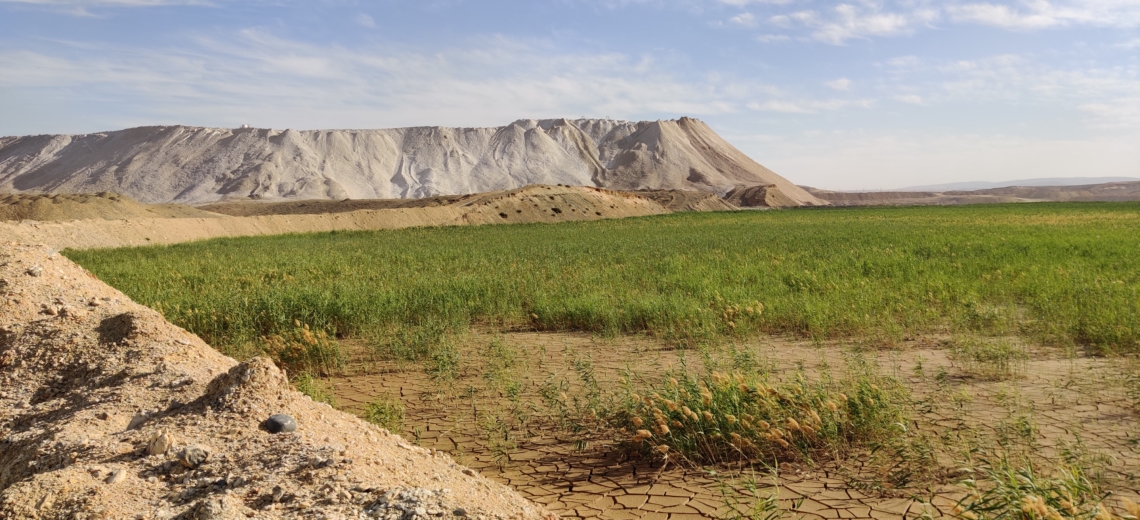 צילומים: אוריאל גור דוד