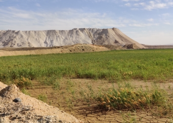 צילומים: אוריאל גור דוד