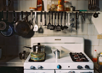 צילום: ניר שוחט, פלאש 90