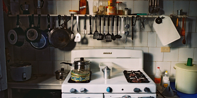 צילום: ניר שוחט, פלאש 90