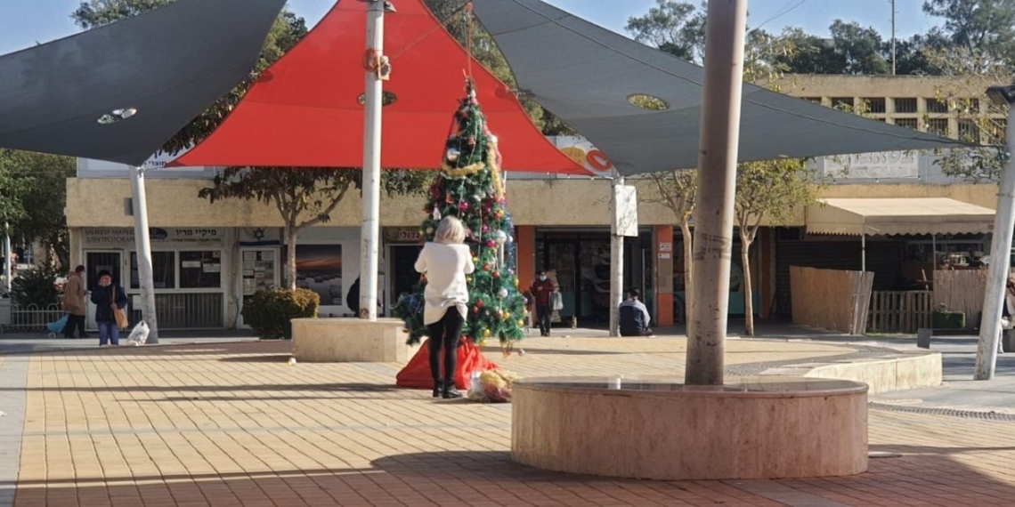 עץ האשוח החדש שהוצב בערד, בעקבות ההצתה. צילום: עיתון הצבי