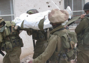 לא ידעתי מה אני עושה. נדב השבוע (צילום: ביאה בר קלוש)