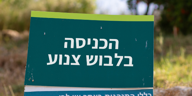 אילוסטרציה | צילום: שאטרסטוק