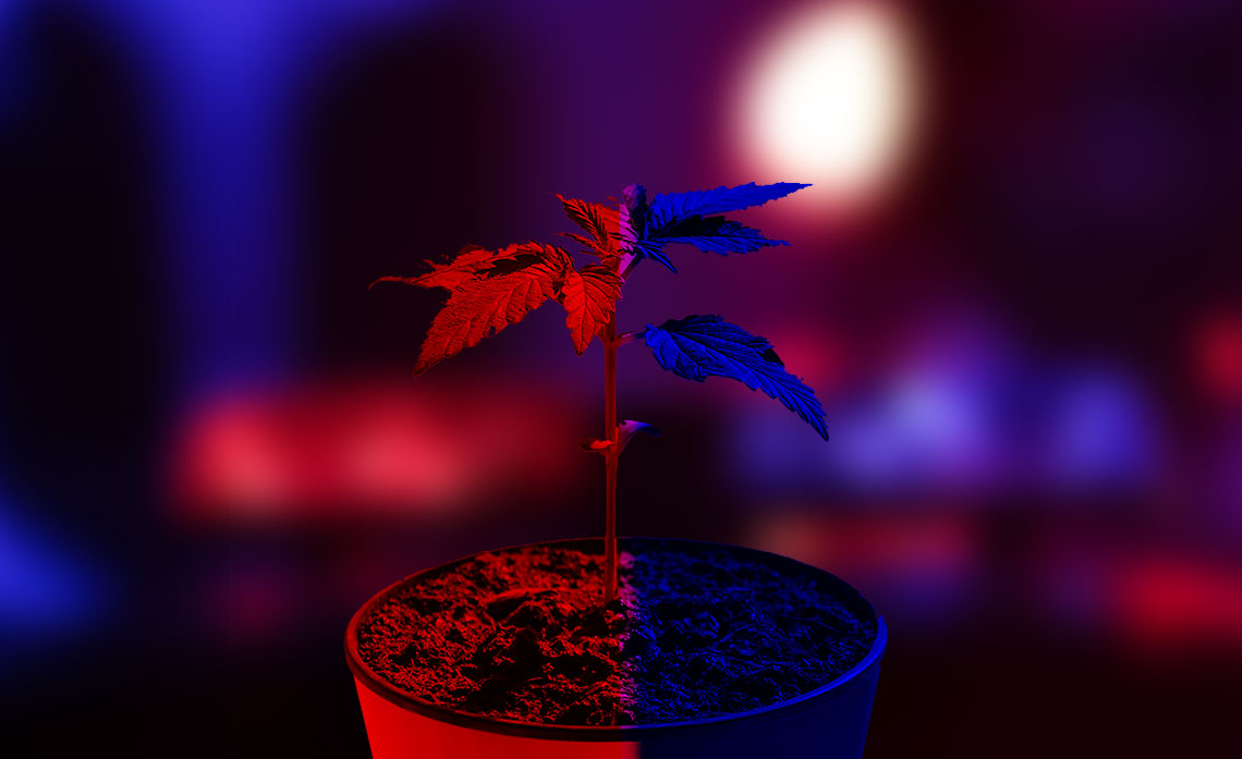 אילוסטרציה | צילום: שאטרסטוק