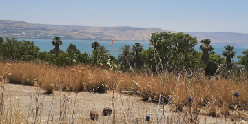 חוף אמנון בכנרת | צילום: אופיר קירי