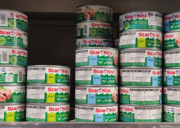 צילום: גלית הראלי