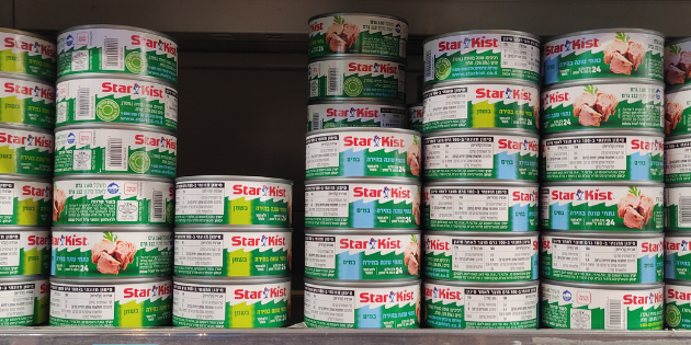 צילום: גלית הראלי