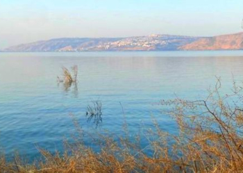 חוף אמנון | צילום: דור זומר