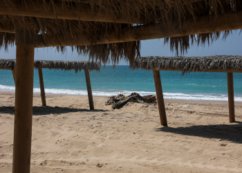 חוף זיקים לאחר הטבח | צילום: איתי רון