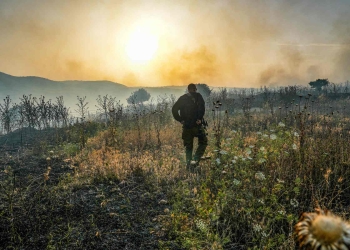 לוחם צה״ל על רקע נפילות בגבול הצפון | צילום: Ayal Margolin/Flash90