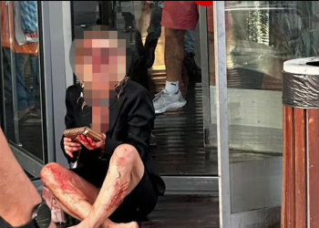 שימוש לפי סעיף 27 א׳