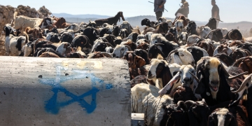 צילום: איתי רון