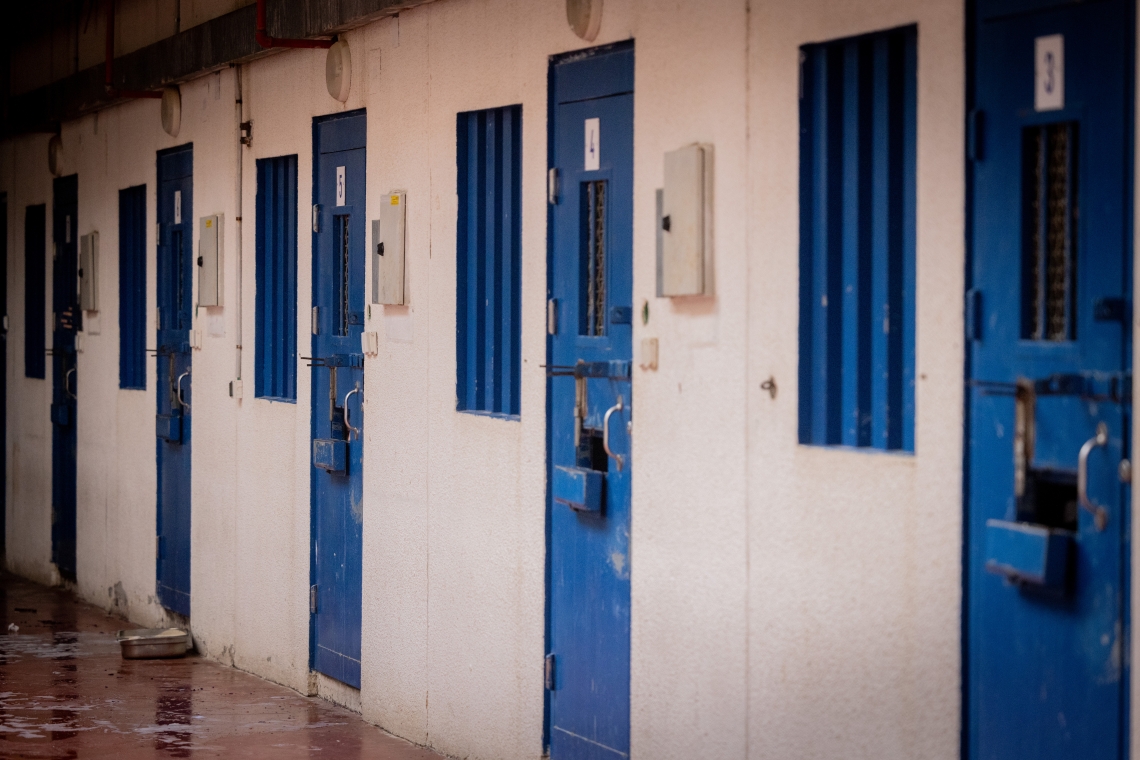 חיים גולדברג, פלאש 90