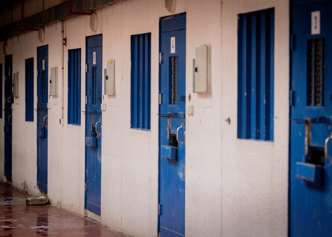 חיים גולדברג, פלאש 90