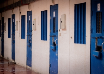 חיים גולדברג, פלאש 90