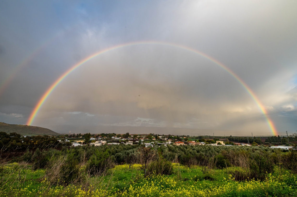 Ayal Margolin/Flash90