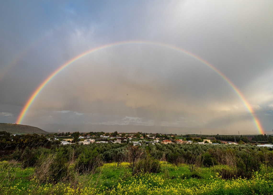 Ayal Margolin/Flash90