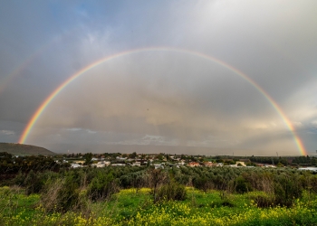 Ayal Margolin/Flash90