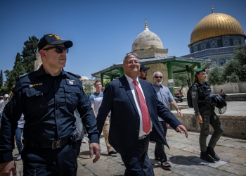 יונתן סינדל, פלאש 90