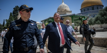 יונתן סינדל, פלאש 90