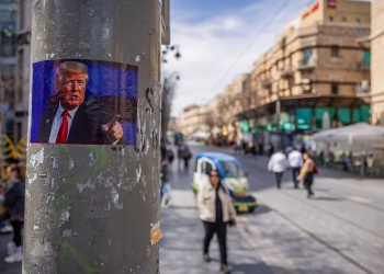 יונתן סינדל, פלאש 90