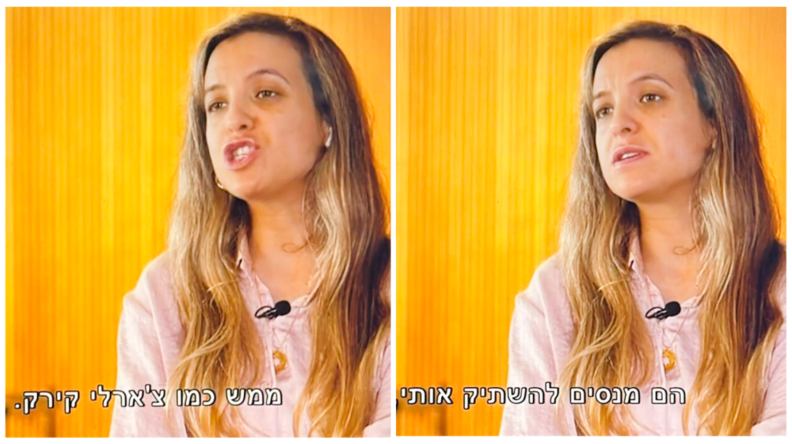 מתקפת ההסתה של שעל בתוכנית הצינור ברשת 13