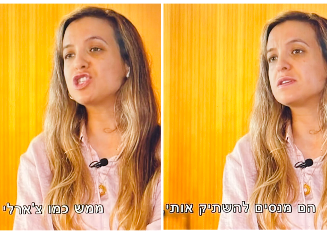 מתקפת ההסתה של שעל בתוכנית הצינור ברשת 13