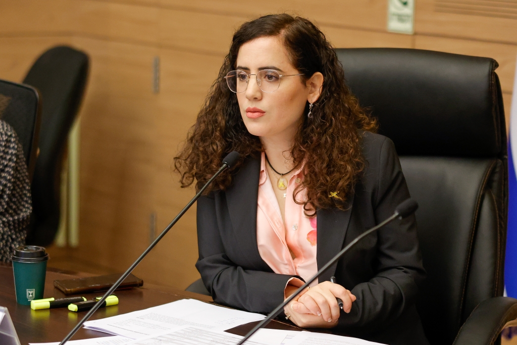 ח״כ לזימי בדיון בוועדת הצעירים, אתמול | צילום: דוברות הכנסת