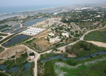 נחל תנינים כדי לדחוק את ג׳סר א-זארקא | צילום: פלאש 90