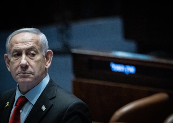 יונתן סינדל, פלאש 90