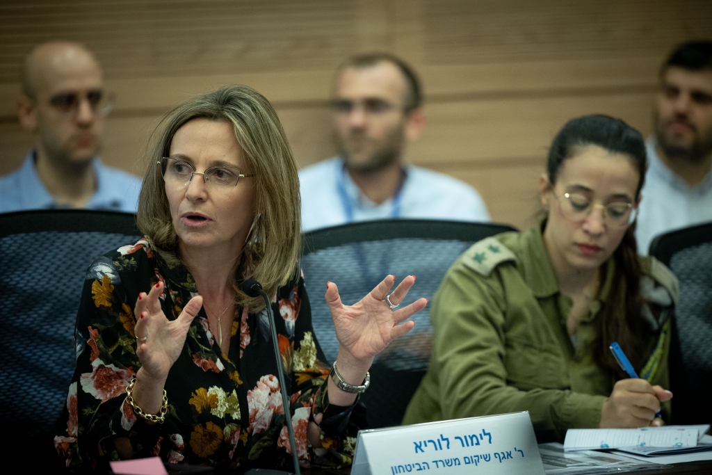 לימור לוריא, ראשת אגף השיקום בדיון הכנסת | צילום: פלאש 90