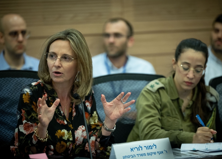 לימור לוריא, ראשת אגף השיקום בדיון הכנסת | צילום: פלאש 90