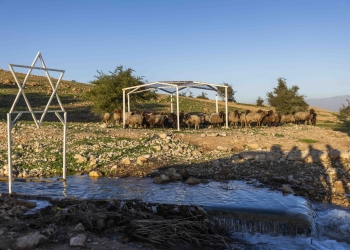 ראס עין אל-עוג׳א אחרי פינוי הקהילה הבדואית | צילום: חיים גולדברג, פלאש 90