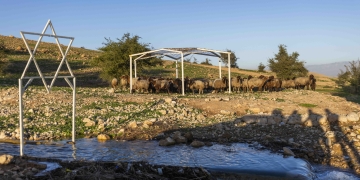 ראס עין אל-עוג׳א אחרי פינוי הקהילה הבדואית | צילום: חיים גולדברג, פלאש 90