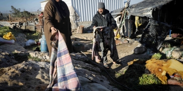 פלסטינים מגלים את הנזק שנגרם במתקפות מתנחלים | צילום: פלאש 90
