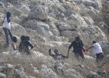 מתנחלים יהודים תוקפים עיתונאים במהלך עונת קטיף הזיתים בכפר ביתה, מדרום לשכם בגדה המערבית, 8 בנובמבר 2025. צילום: נאצר אשתייה/Flash90