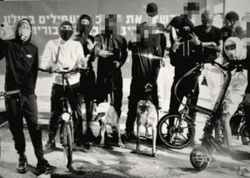 חסרי מעמד מחפשים משמעות - צעירים המזדהים כחברי SSQ