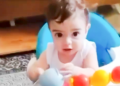 סאם פאהד אבו הייקל, תינוק בן שבעה חודשים, נורה למוות מירי חייל צה"ל בתל רומיידה שבחברון | צילום: מתוך סרטון משפחתי, שימוש לפי סעיף 27א