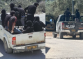 שני טנדרים לבנים בכביש כפרי בשטחי השומרון, עמוסים בגברים לבושי שחור ורעולי פנים; ברקע עצי זית ושיחים.