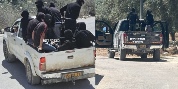 שני טנדרים לבנים בכביש כפרי בשטחי השומרון, עמוסים בגברים לבושי שחור ורעולי פנים; ברקע עצי זית ושיחים.